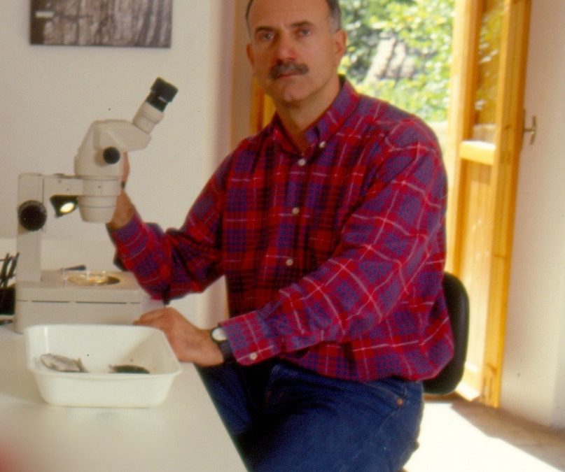 SERGIO ZERUNIAN